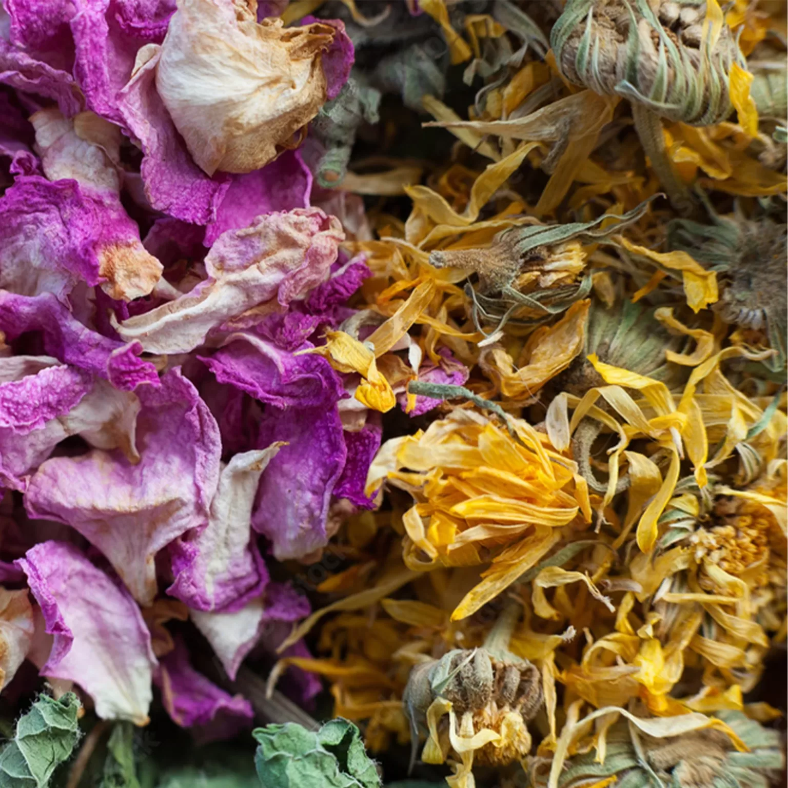 Ierburi-aromatice-pentru-animale-mici-hibiscus-si-musetel-Detox.-Digestion-Nutrin-50-gr-1536x1536