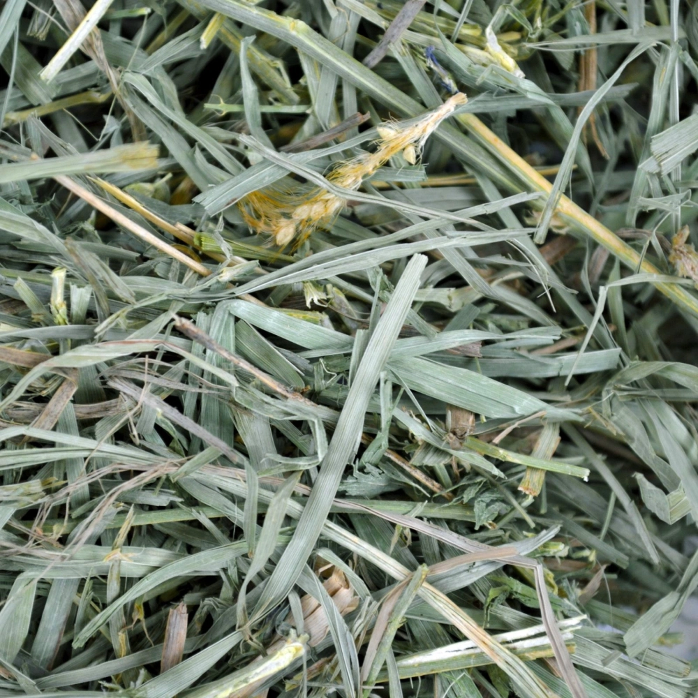 fan-organic-pentru-rozatoare