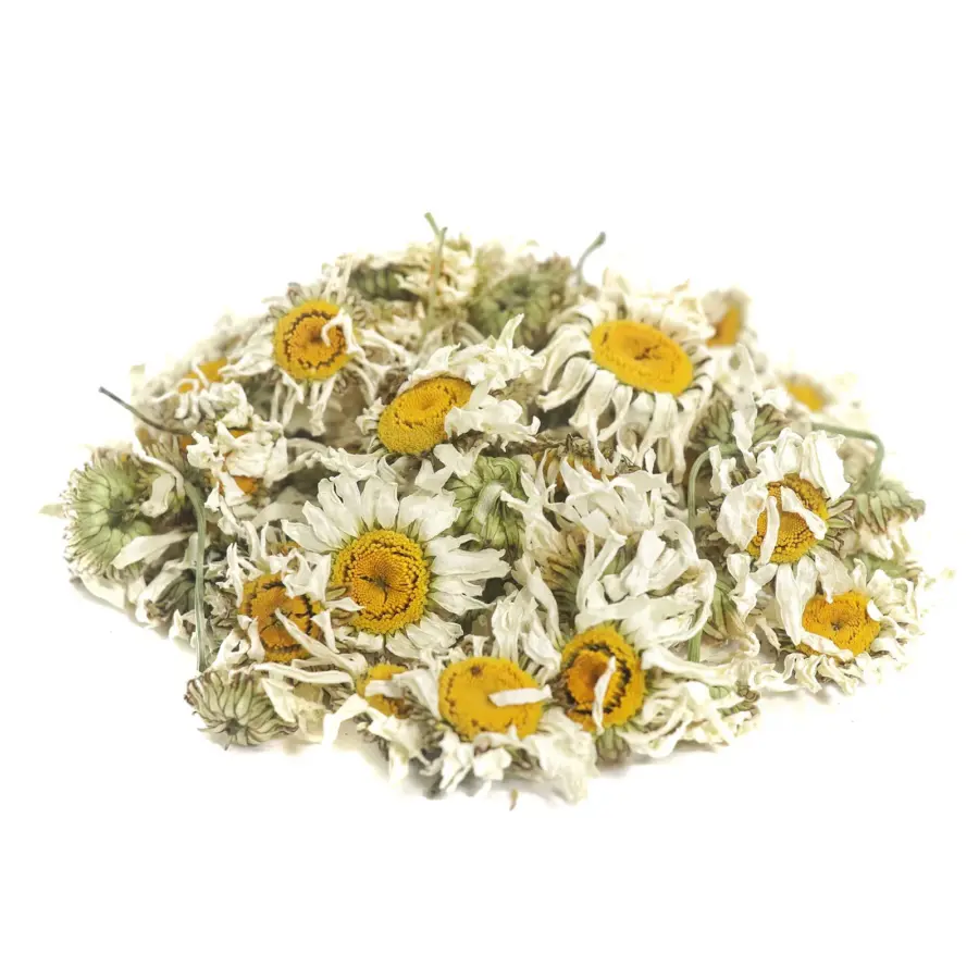 Flori-de-margarete-uscate-pentru-rozatoare-TIVO-900x900